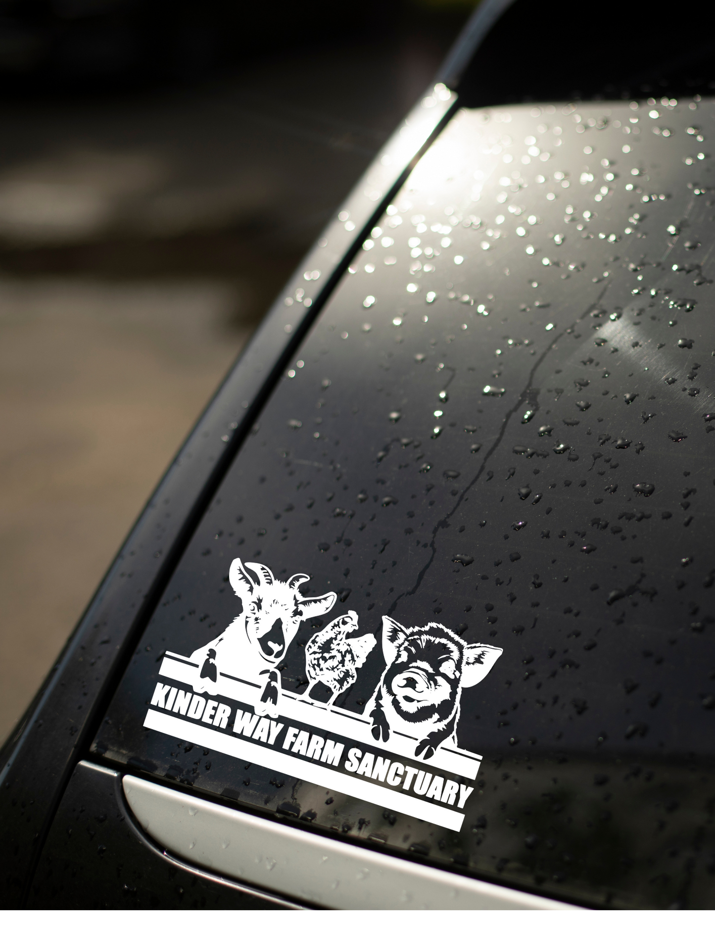 KWBFS- Window Decals