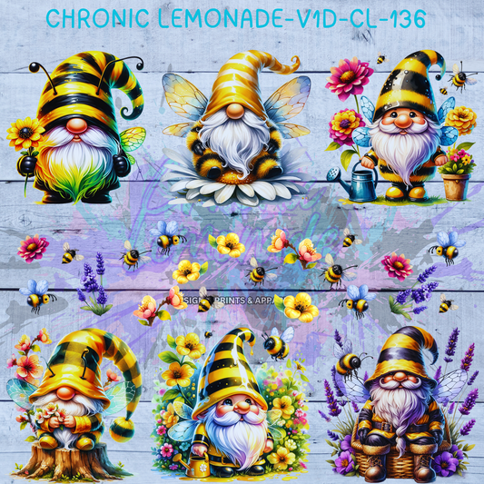 V1D-CL-136